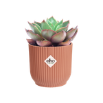 vibes fold round mini 9cm delicate pink